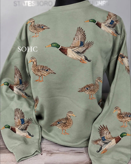 Drake & hen ducks crew